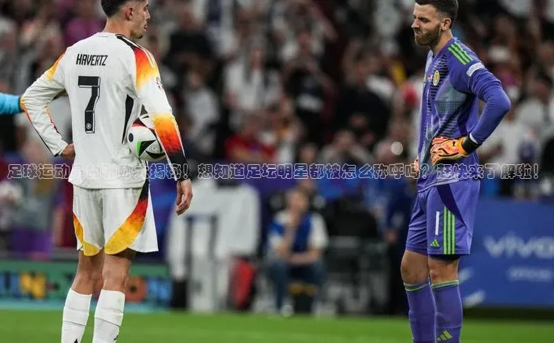 谈球吧官方网站云创智行足球运动员的雅称大揭秘！想知道足坛明星都被怎么称呼吗？赶快来了解啦！