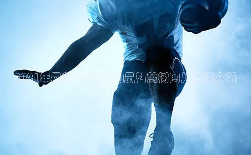 谈球吧登录网神思电子2021年最新|足球运动员智慧树图片高清赏析