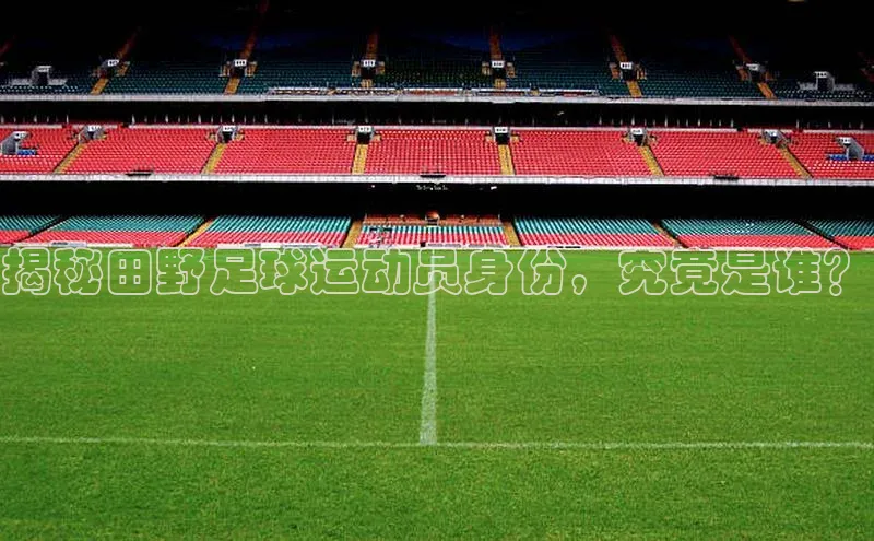 谈球吧下载观星盘揭秘田野足球运动员身份，究竟是谁？