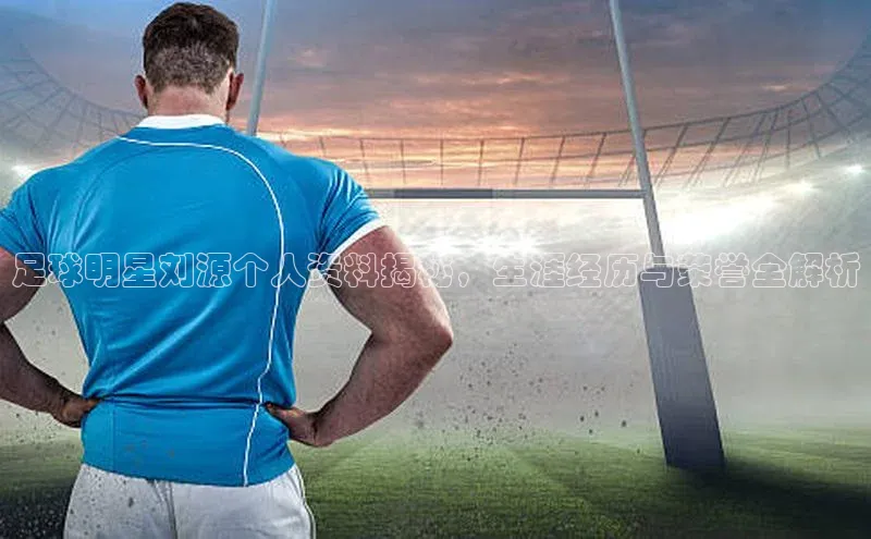 谈球吧网app官网下载如流足球明星刘源个人资料揭秘，生涯经历与荣誉全解析