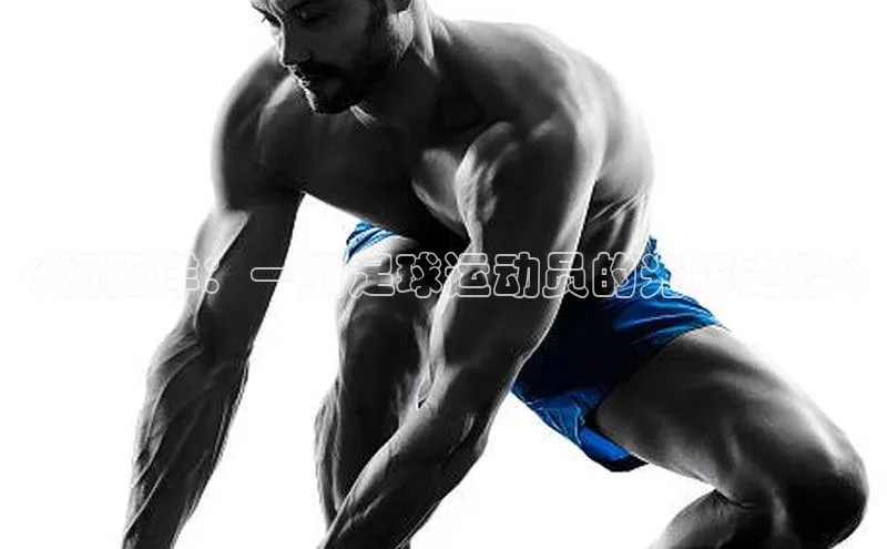 谈球吧官方网站百度手机助手《杨阳洋：一级足球运动员的光辉之路》