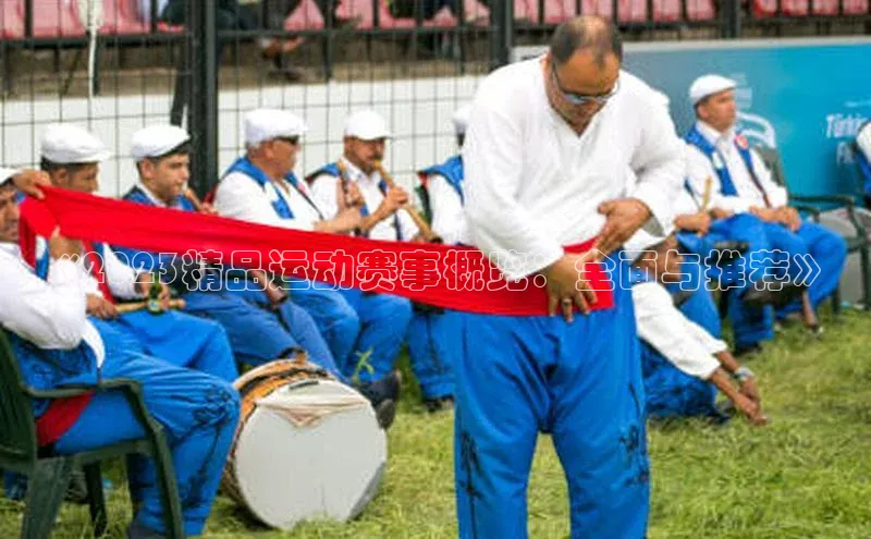 谈球吧体育app下载官网百度学术《2023精品运动赛事概览：全面与推荐》