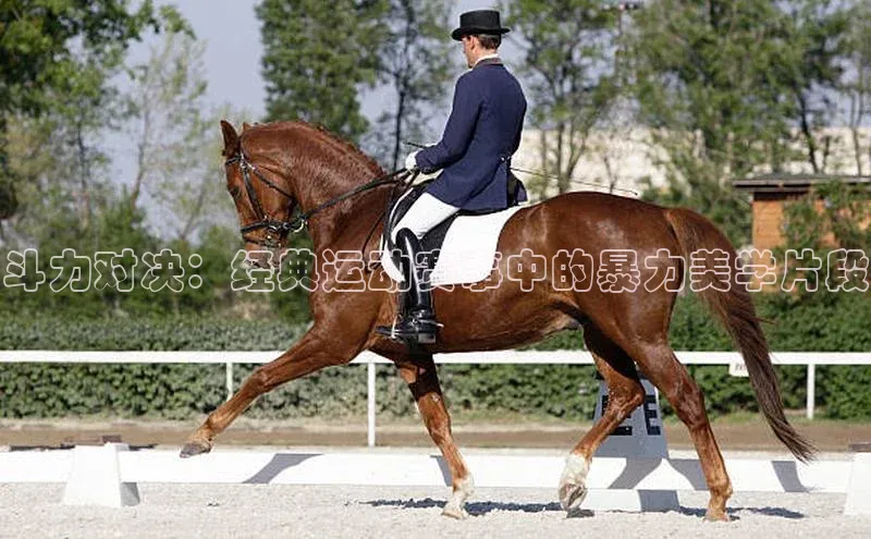 谈球吧体育app官网百度信誉斗力对决：经典运动赛事中的暴力美学片段