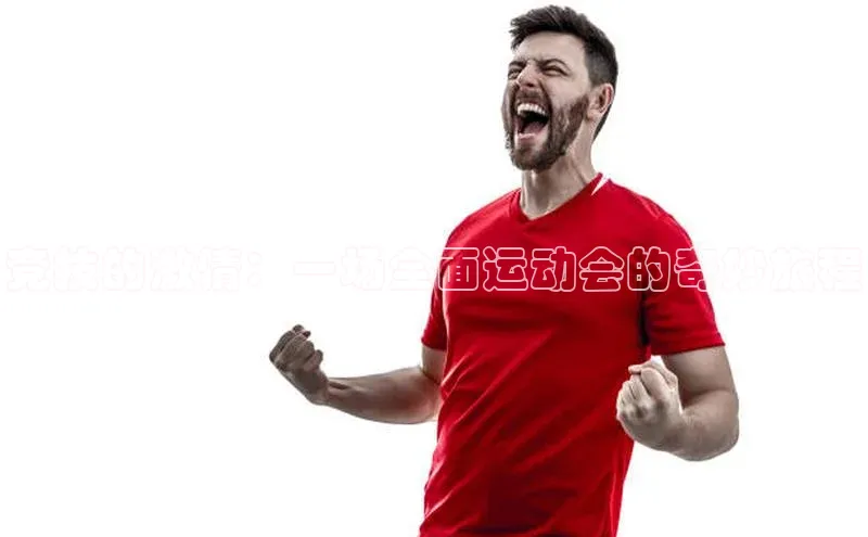 竞技的激情：一场全面运动会的奇妙旅程