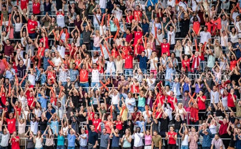 中国队风采：2024年国际运动会最佳阵容