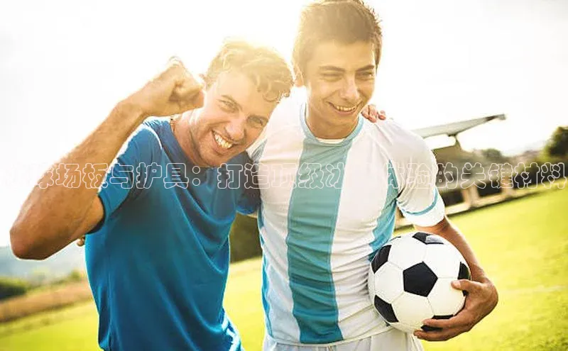 冰球场板与护具：打造顶级冰球体验的关键材料