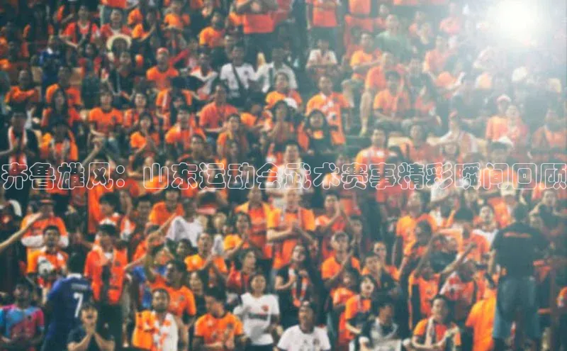 齐鲁雄风：山东运动会武术赛事精彩瞬间回顾