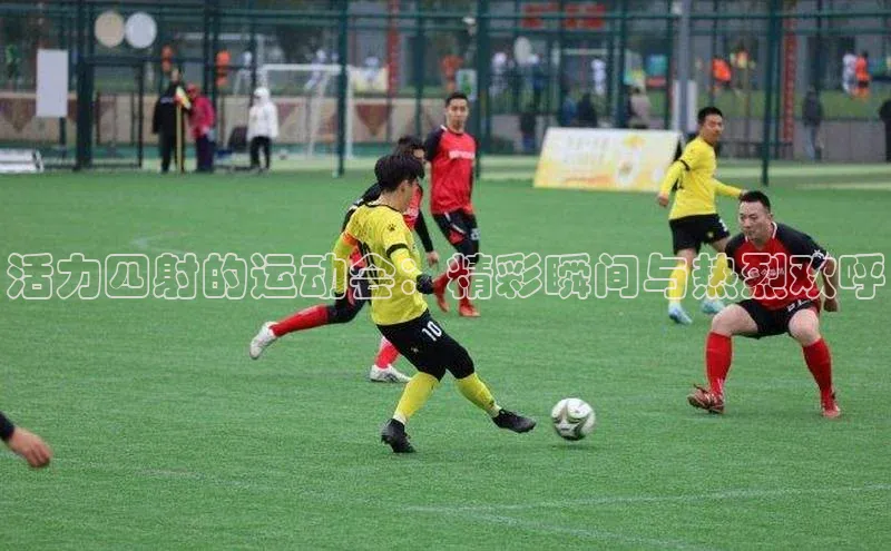 活力四射的运动会：精彩瞬间与热烈欢呼