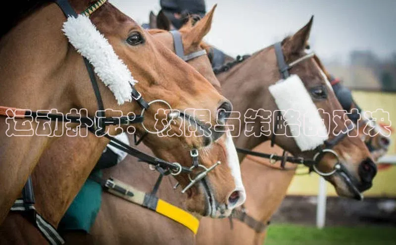 运动扑克：极限与策略的对决