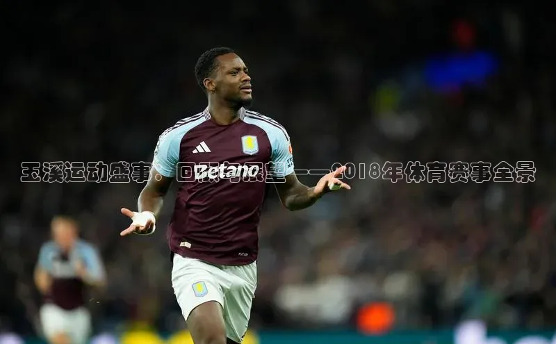 玉溪运动盛事：回顾与展望——2018年体育赛事全景