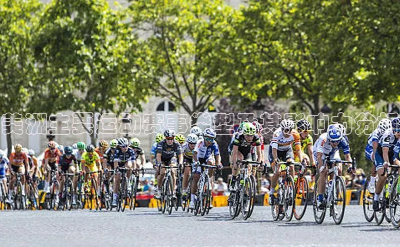 美洲主要运动赛事类型及其影响力分析