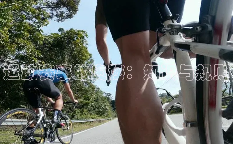 谈球吧网页登录