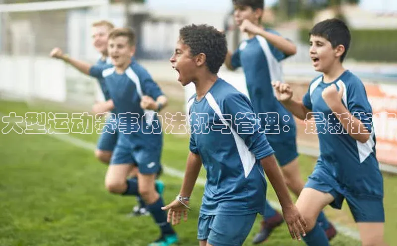 大型运动赛事的法规与管理：最新指南
