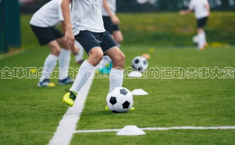 全球顶尖竞技：最具含金量的运动赛事大赏