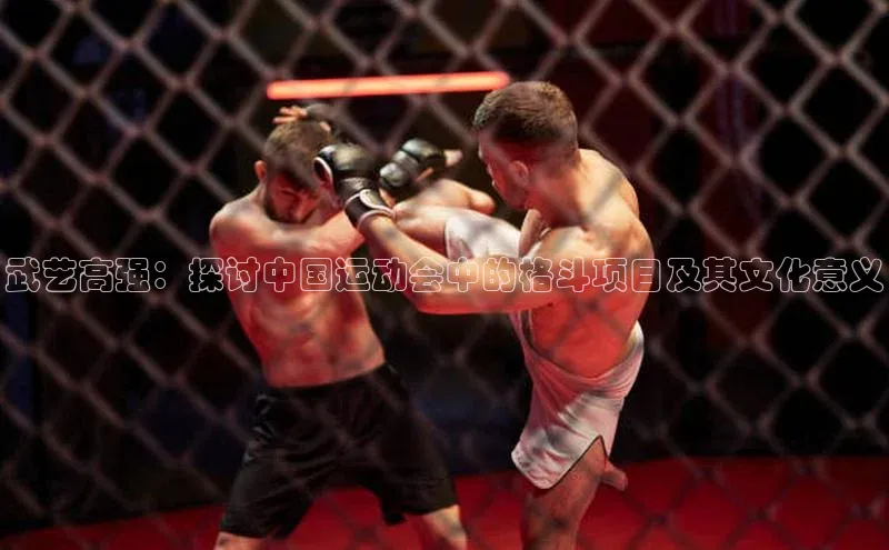 武艺高强：探讨中国运动会中的格斗项目及其文化意义